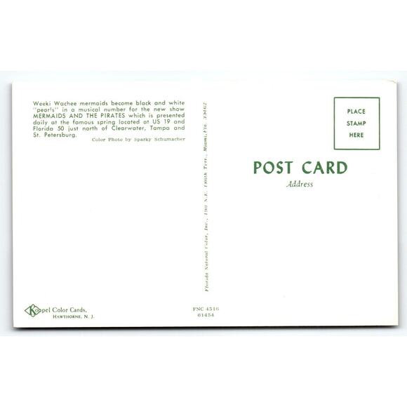 Weeki Wachee Springs Mermaid Postcard Two Swimsuit Women Underwater Show Florida - Picture 2 of 2